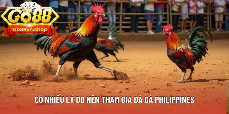 Có nhiều lý do nên tham gia đá gà Philippines