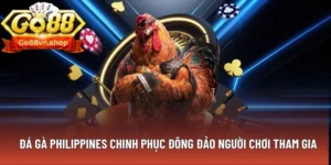 Đá gà Philippines