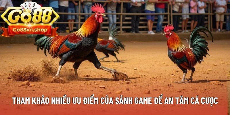 Tham khảo nhiều ưu điểm của sảnh game để an tâm cá cược