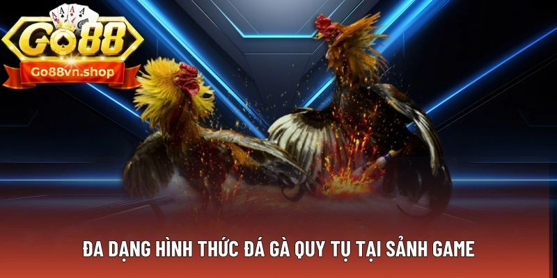 Đa dạng hình thức đá gà quy tụ tại sảnh game